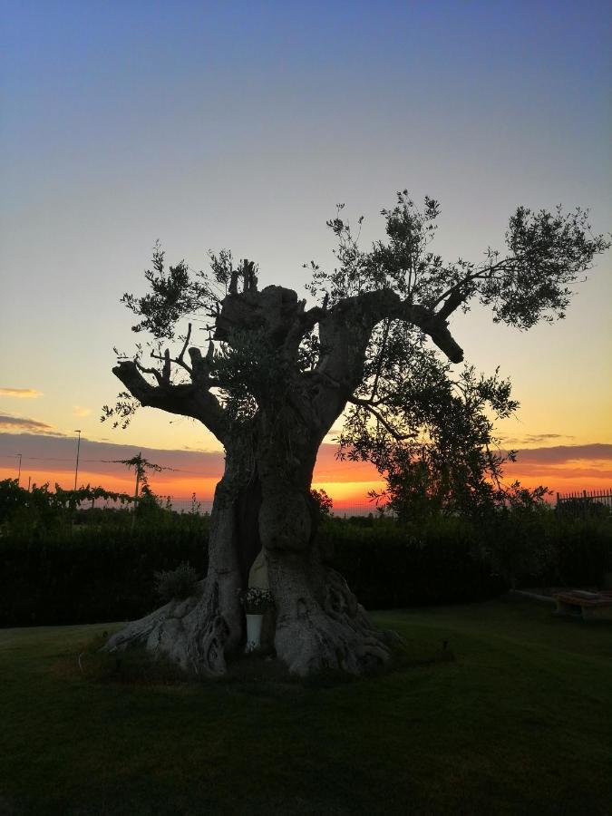 B&B Mareen Santa Maria al Bagno Bagian luar foto