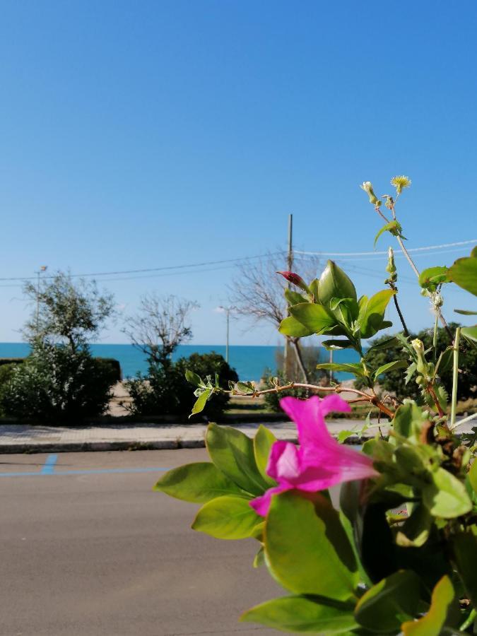 B&B Mareen Santa Maria al Bagno Bagian luar foto